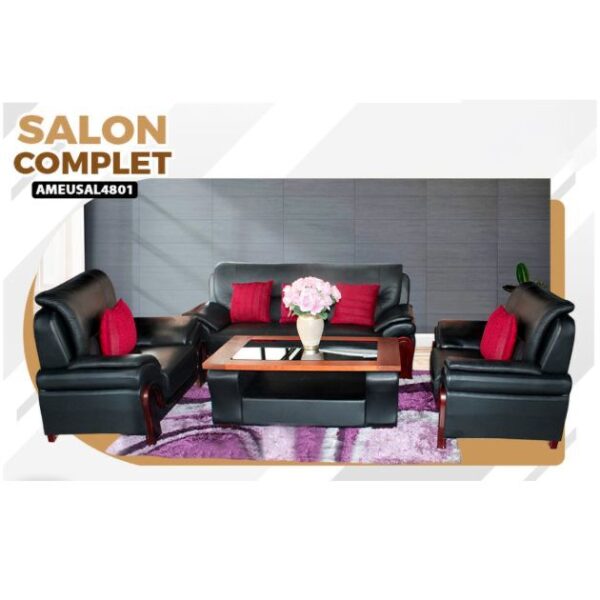 Salon complet en cuir haut de gamme Importé - NAS - AMEUSAL4801 - 6 places - Noir