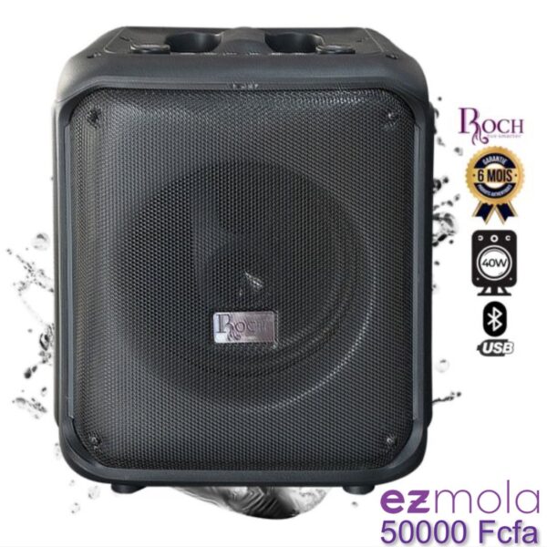 Enceinte rechargeable Roch avec micro