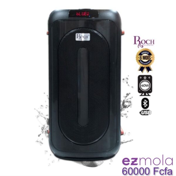 Speaker Rechargeable Roch