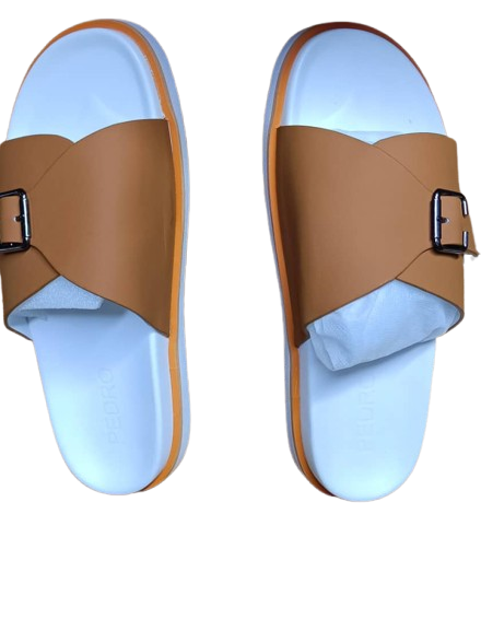 PEDRO- formal slides